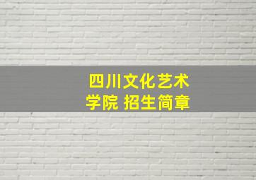 四川文化艺术学院 招生简章